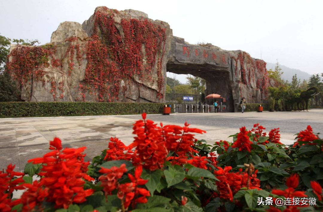 安徽合肥免费旅游攻略,合肥春节免费游怎么预约