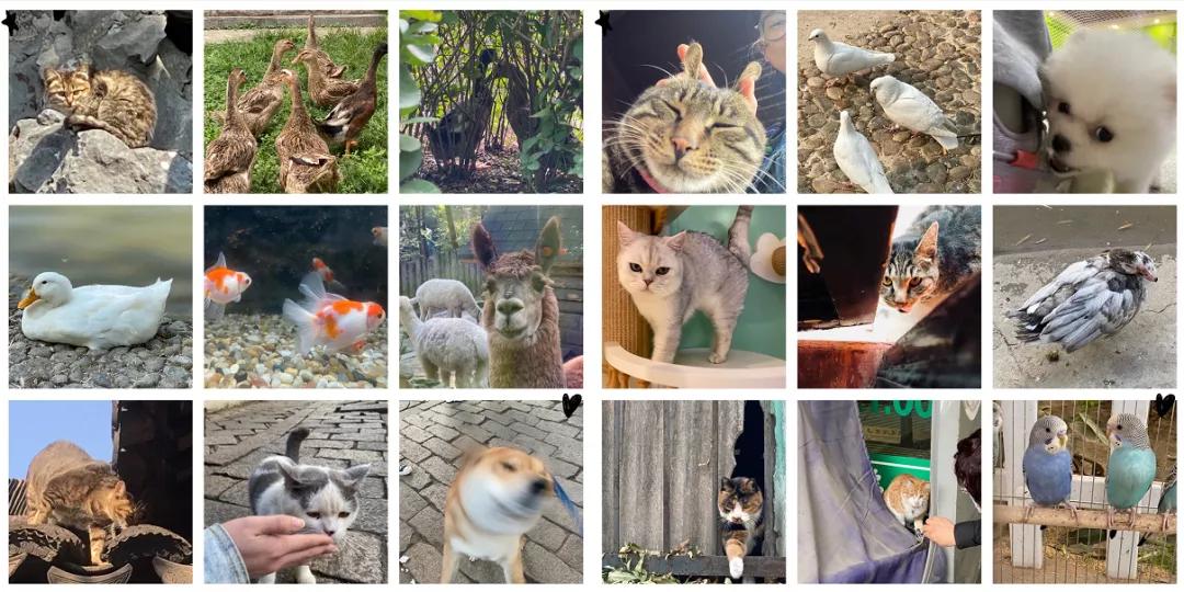 我选校，选的是钱少排名高离家近……