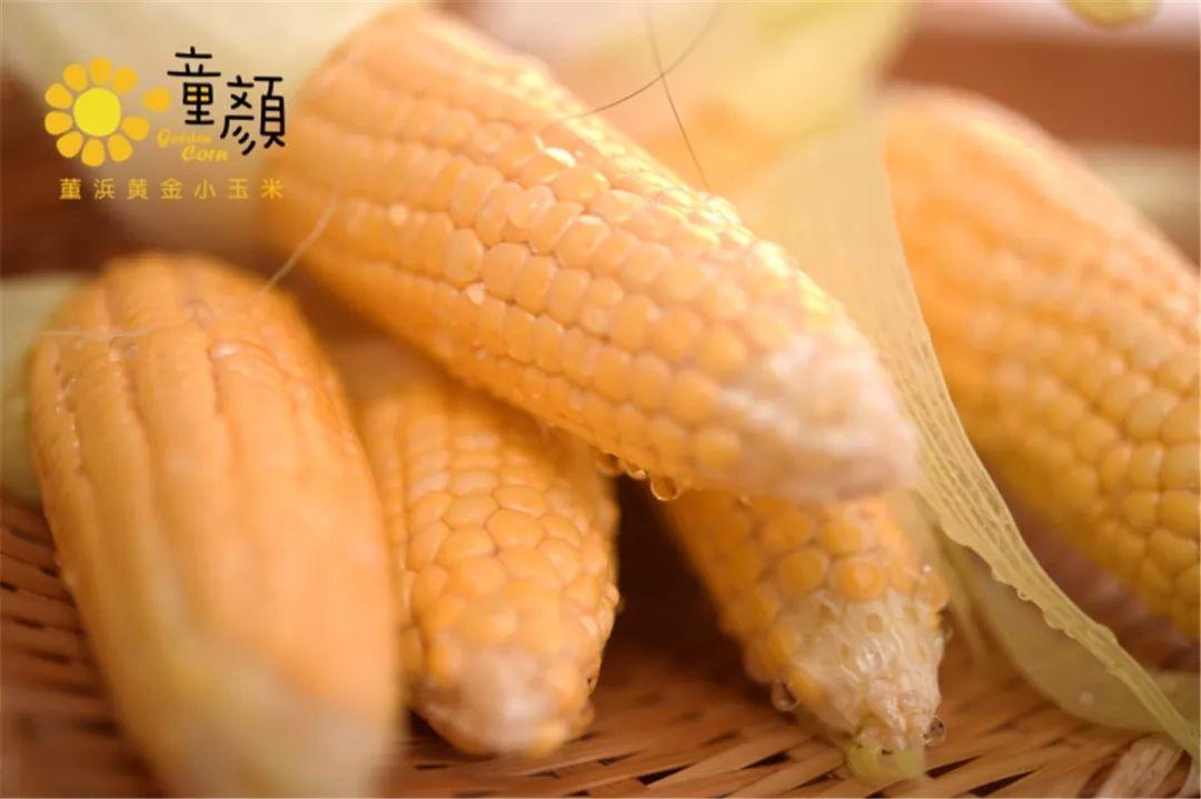 童颜小玉米做法,小玉米甜糯低脂