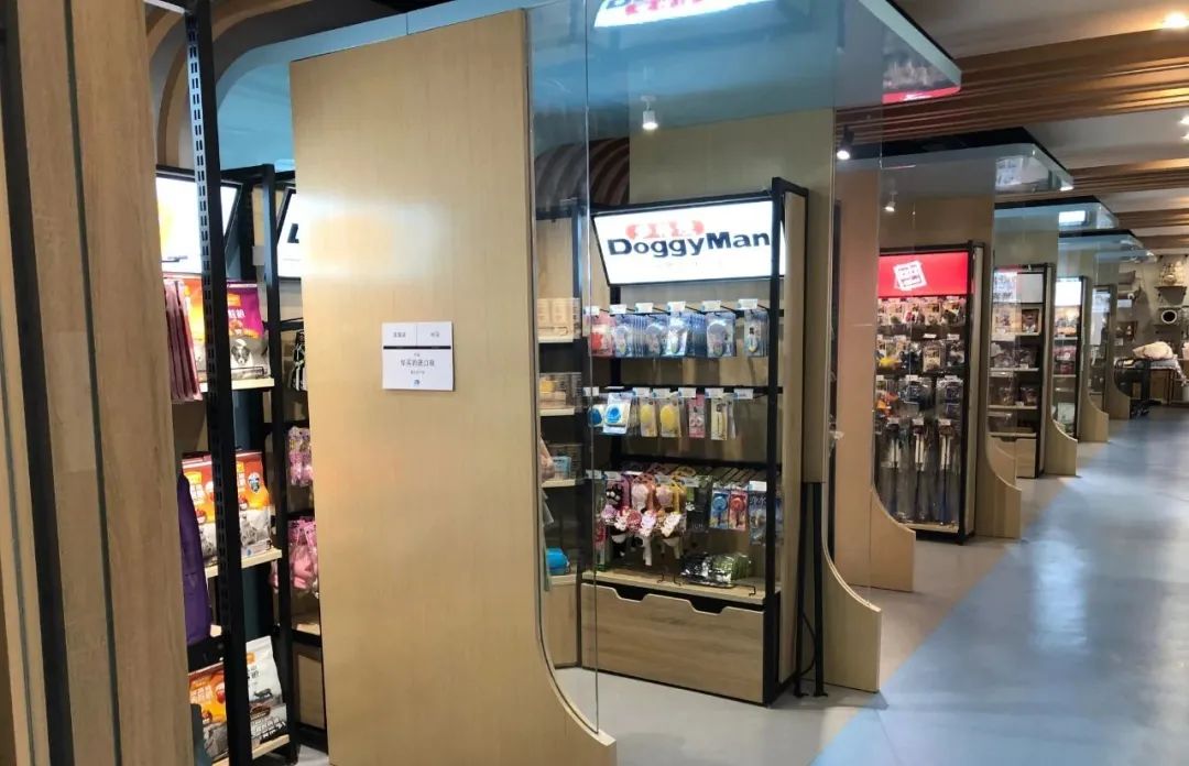 欢迎同行入内，这是一家为宠物店而开的宠物