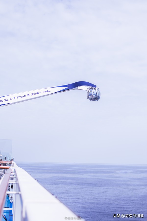 邮轮游选择哪个游轮好,邮轮旅游全攻略公主号