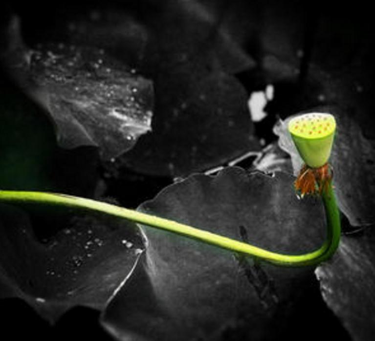 高僧说：人在红尘，这三件事看破别说破，才是真正地解脱，我懂了