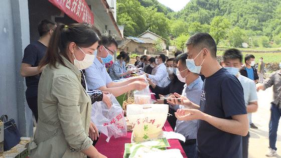 十堰消费扶贫馆,十堰竹溪向坝乡山货