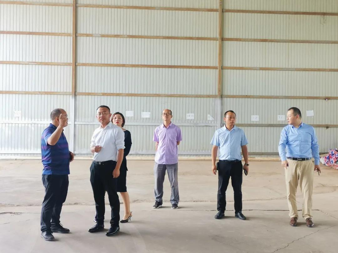 淘金王金合现状,淘金时代王金合