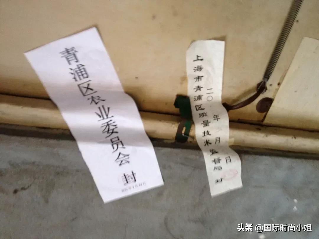 老纪是个什么人物,一个历史上的传奇人物