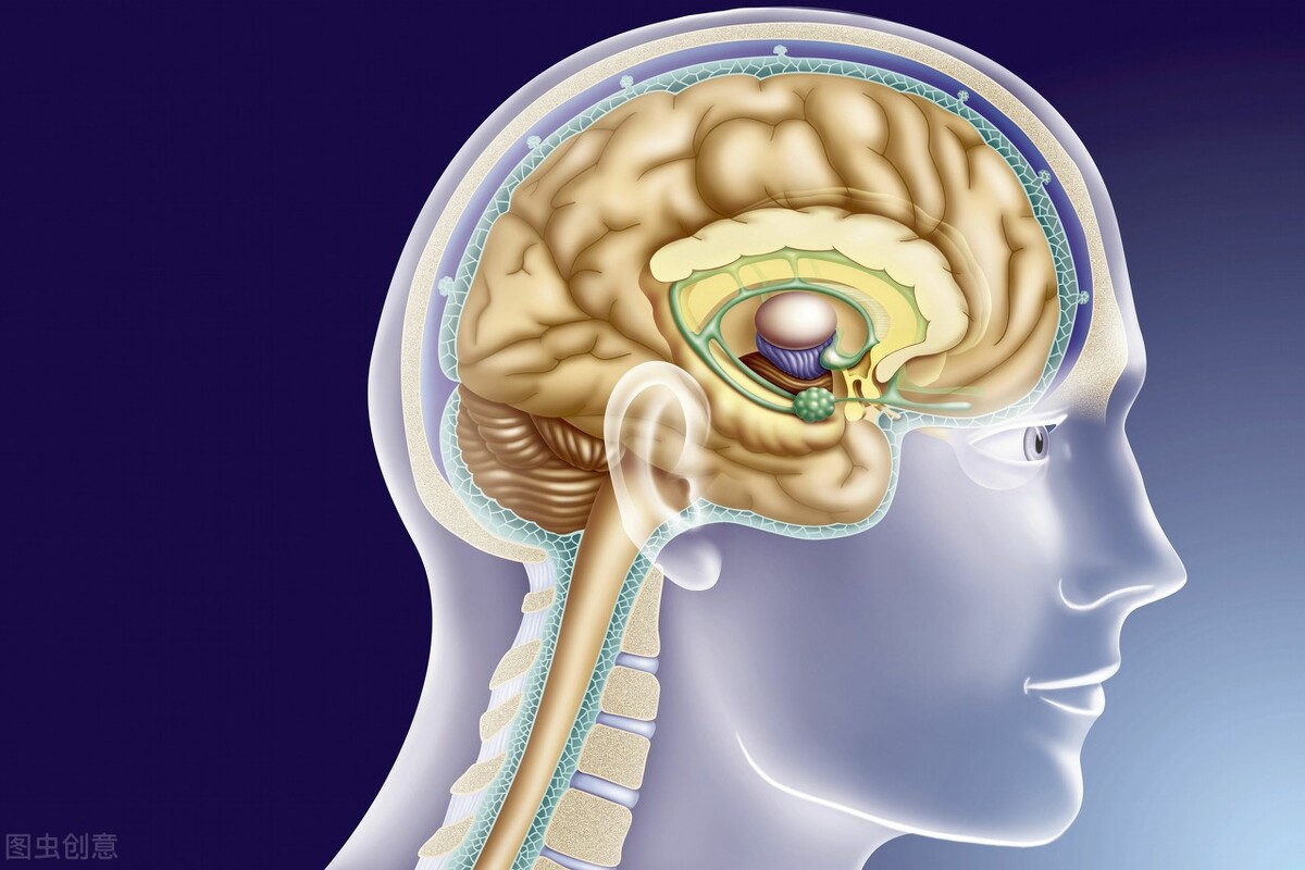 癌症患者都是被治死的?癌症晚期的治疗就是陷阱?医生告诉您真相