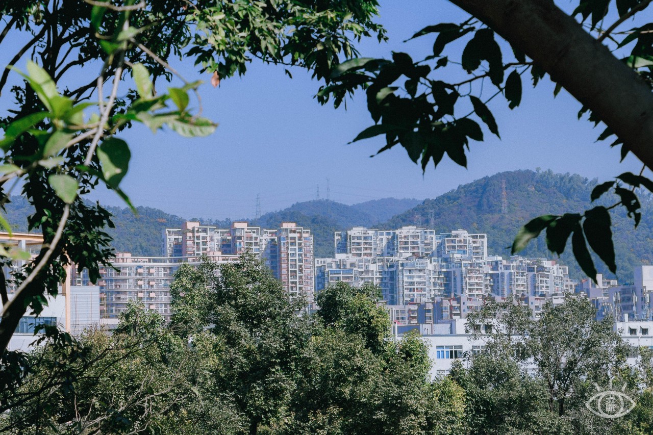 深圳十大顶级公园,深圳市十大风景公园排名