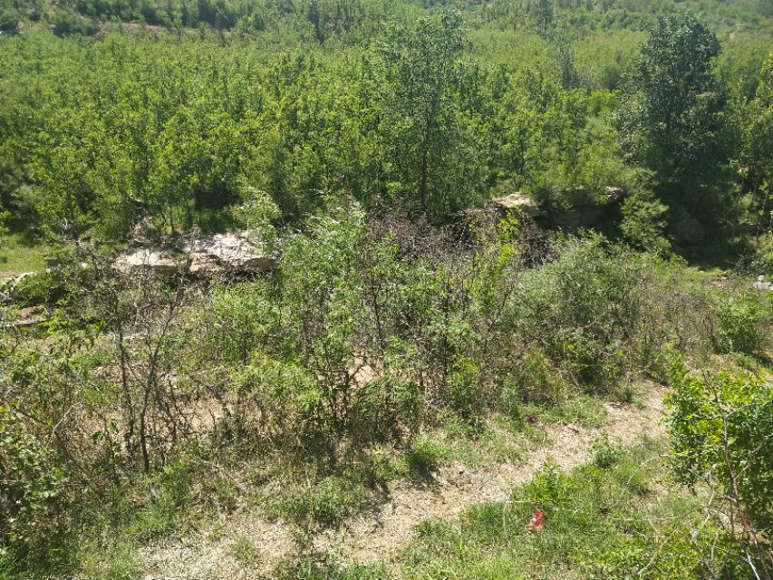 山东鲁家峪自然风景,鲁家峪泉水景点