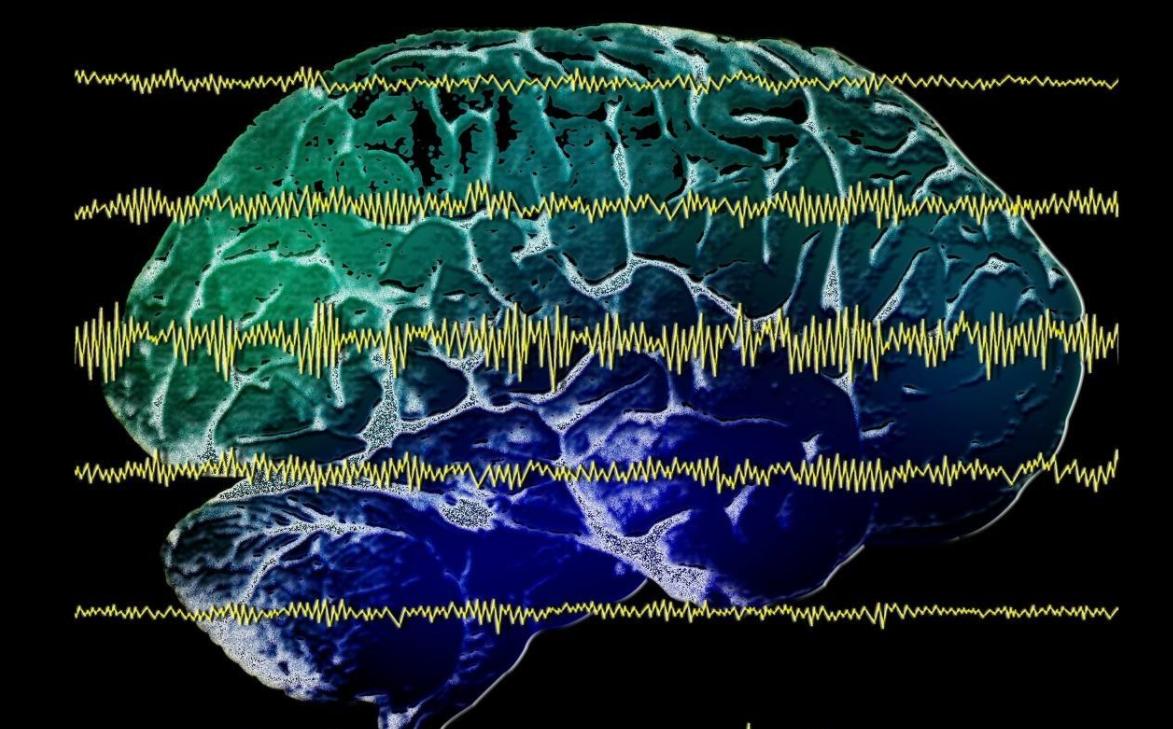 到了一定年纪就开始养生啦,才到28的年龄就该养生了