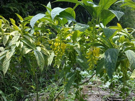 农村适合做什么小买卖最挣钱,在农村卖什么小本生意才能挣钱