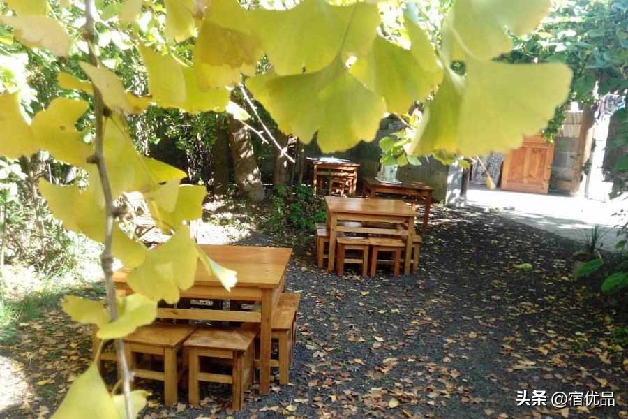 这个秋天来长兴农家乐，体验慢生活，这个地方是很多人的毕生所爱