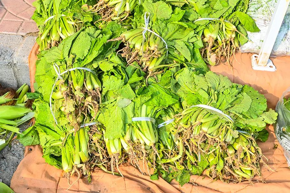 满满的烟火气逛大集真好玩,最值得逛的大集