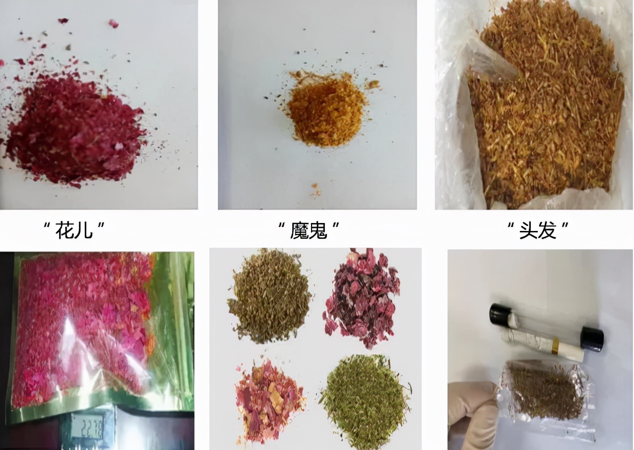 新疆伊宁市禁毒大队,伊犁禁毒记录片