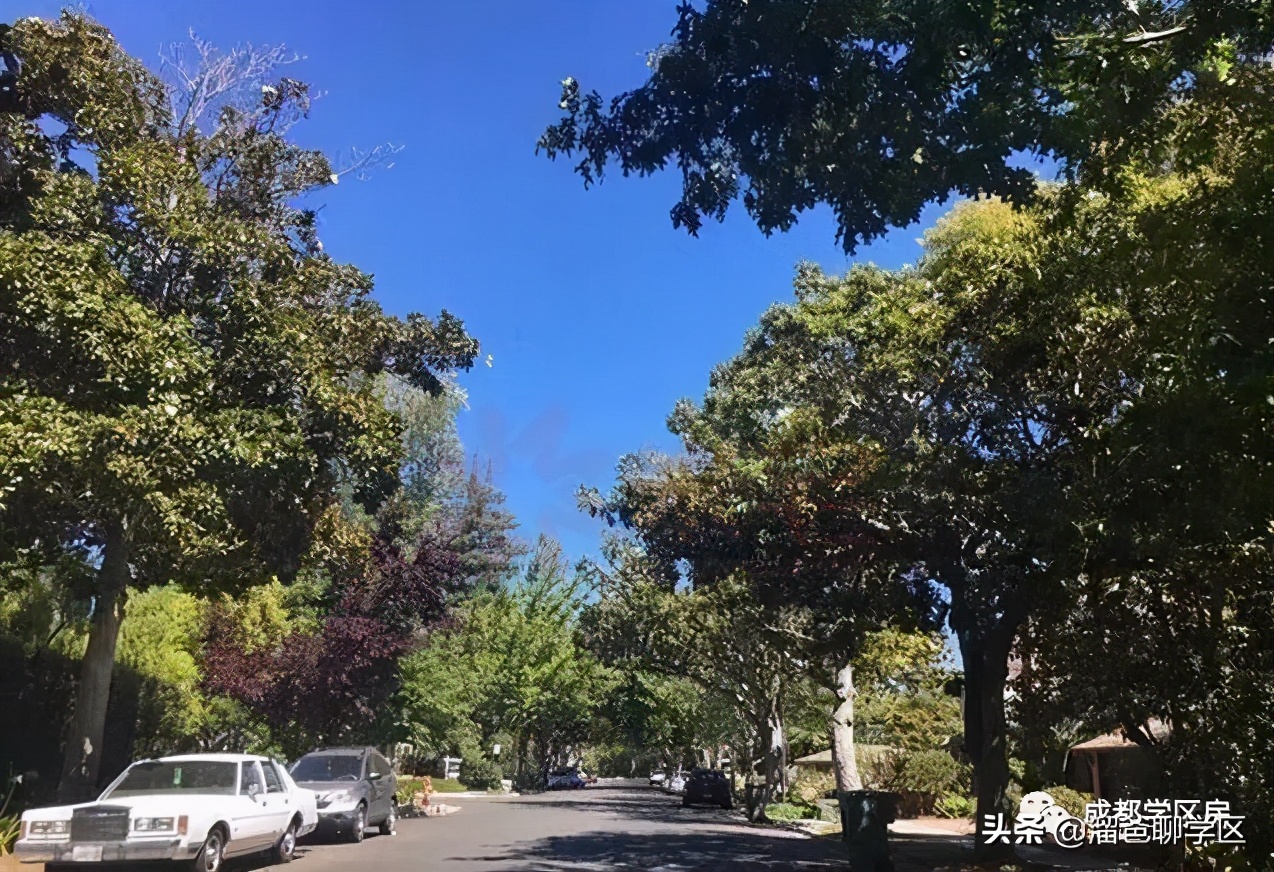 成都未来核心生活区,成都四十个板块