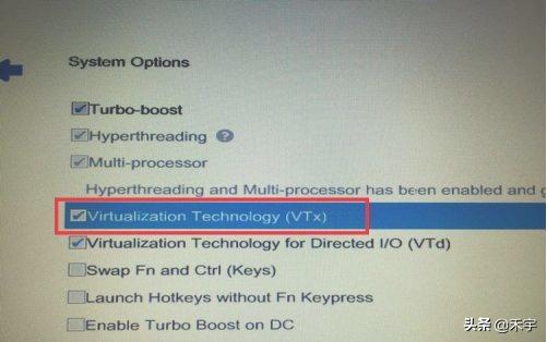 虚拟机启用intelvt-x作用,虚拟机安装intelvtx处于禁用状态