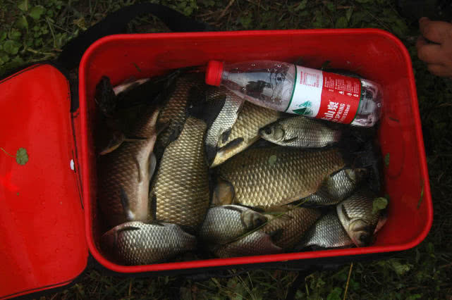 春钓应该注意什么,春钓用蚯蚓好吗