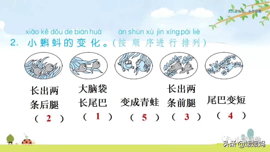 二年级上册小蝌蚪找妈妈听写词语,朗读二年级上册语文小蝌蚪找妈妈