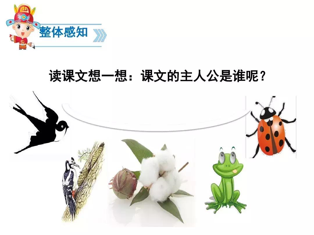 一年级下册语文19课棉花姑娘,一年级棉花姑娘课文笔记