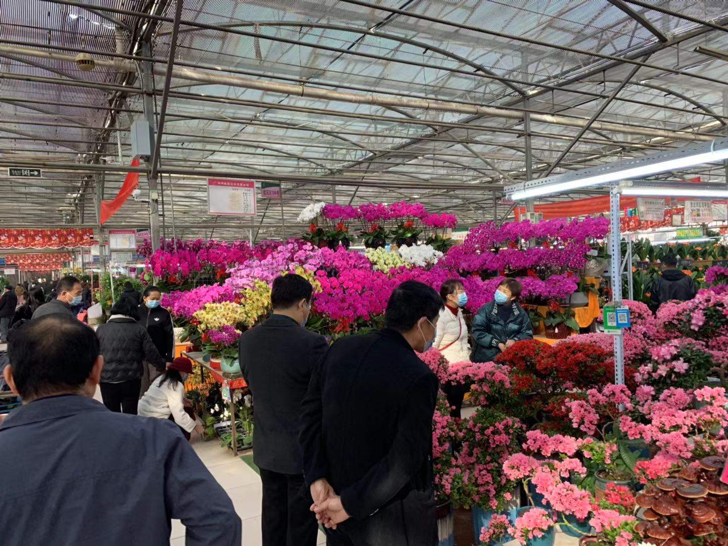 花卉市场旺季不旺的原因,花卉市场迎来销售高峰