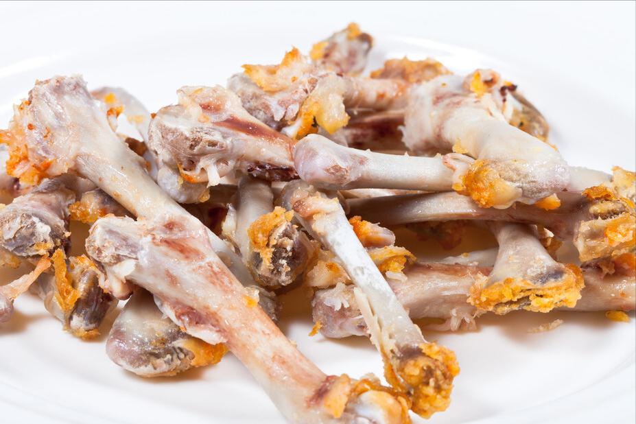 秋田犬呕吐怎么回事,秋田犬呕吐怎么处理