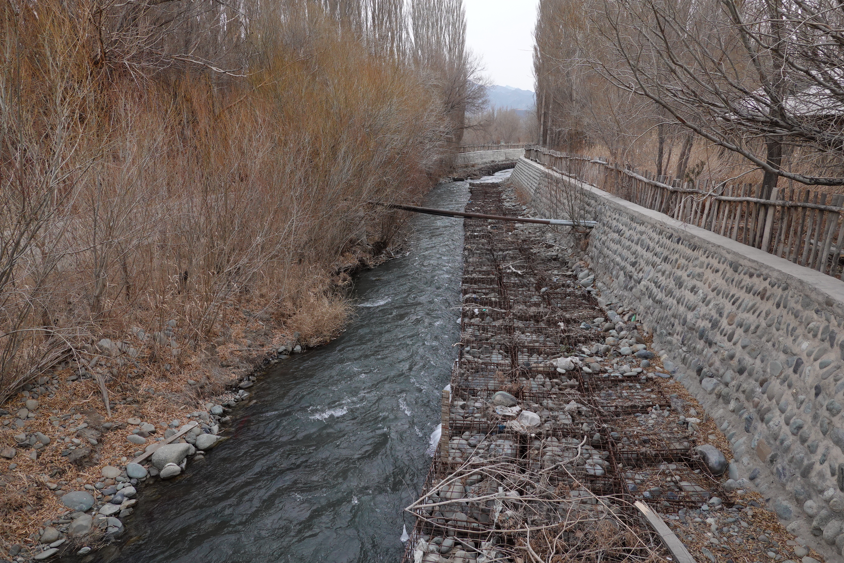 王洛宾写的达坂城姑娘美如画,王洛宾进新疆