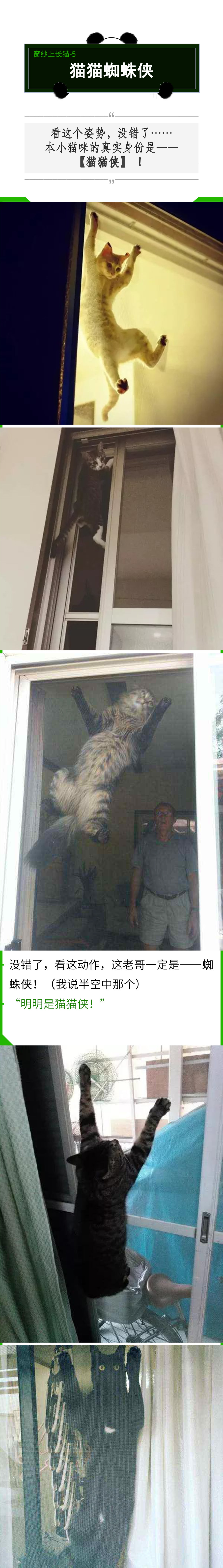 有纱窗为什么家里总有蚊子,有防盗网的房间窗户防蚊纱窗