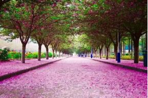 志愿填报季,你必须要知道的“宝藏”大学——西北农林科技大学