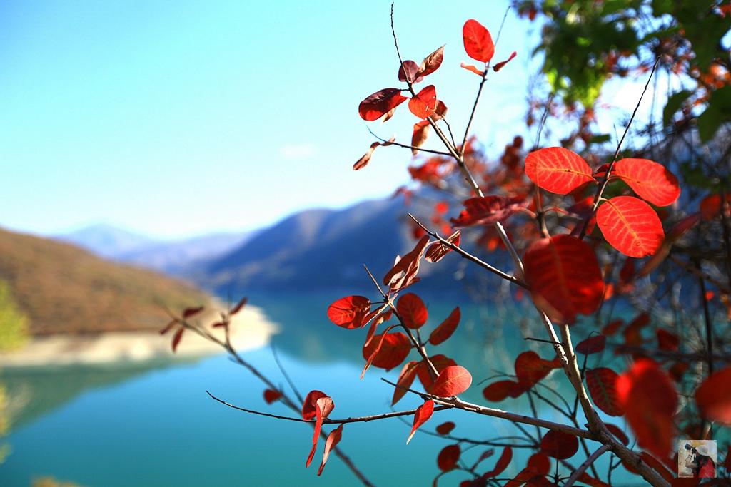 中亚高加索旅游攻略,探秘高加索走进格鲁吉亚