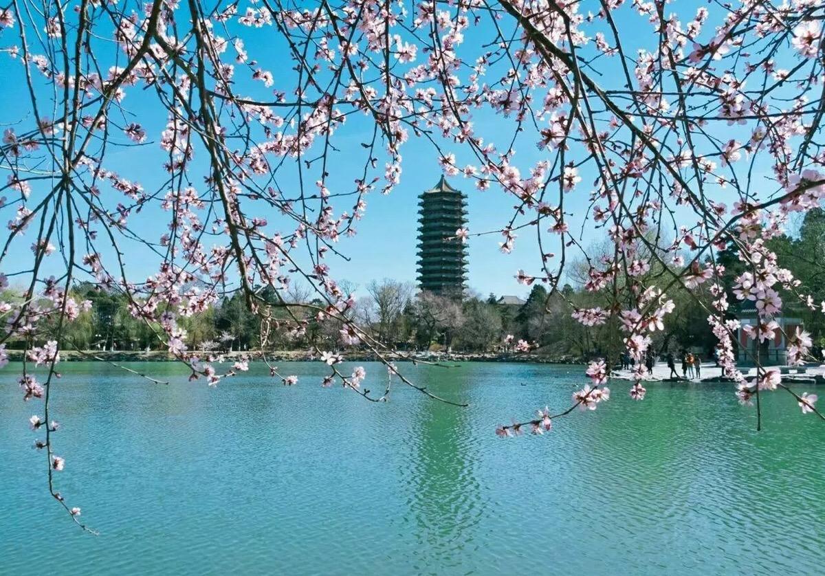 获得数学A+学科的三所大学，各个实力强劲，第三很意外！