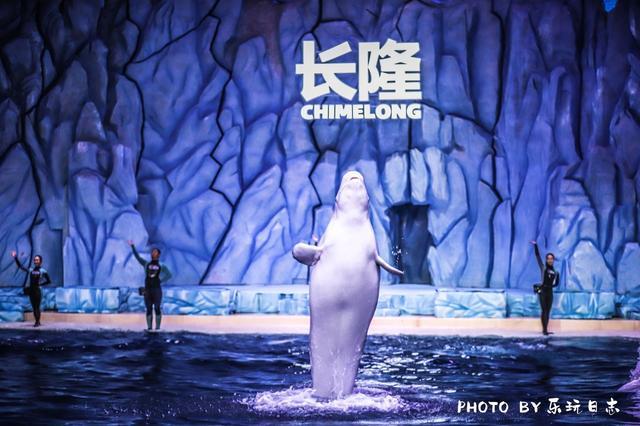 来珠海旅游必打卡的景点,春节珠海亲子游玩地方推荐