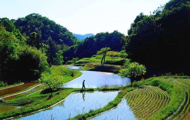 25首意境绝美的诗词一见倾心,表达向往美好生活的古诗