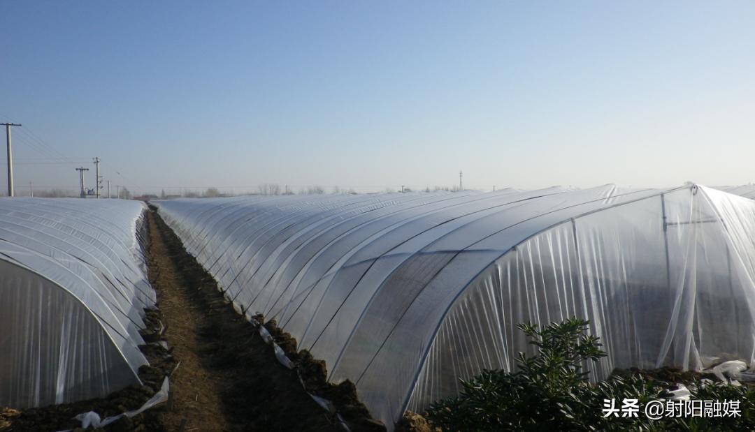 射阳县各村名单,射阳县各乡镇村名单