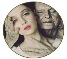 抗糖化，雪莲培养物C位出道