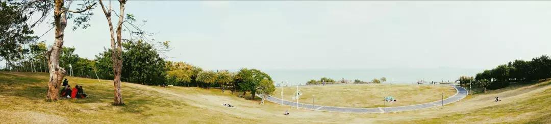 深圳湾公园这里有什么好吃的,深圳湾在哪里