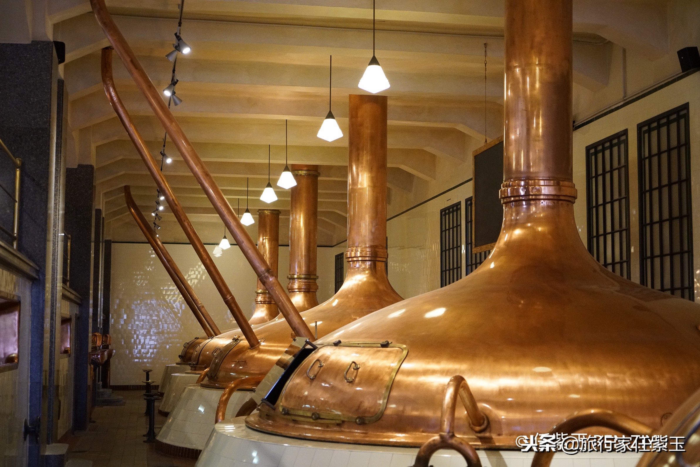 捷克人爱喝酒,捷克人多爱喝啤酒