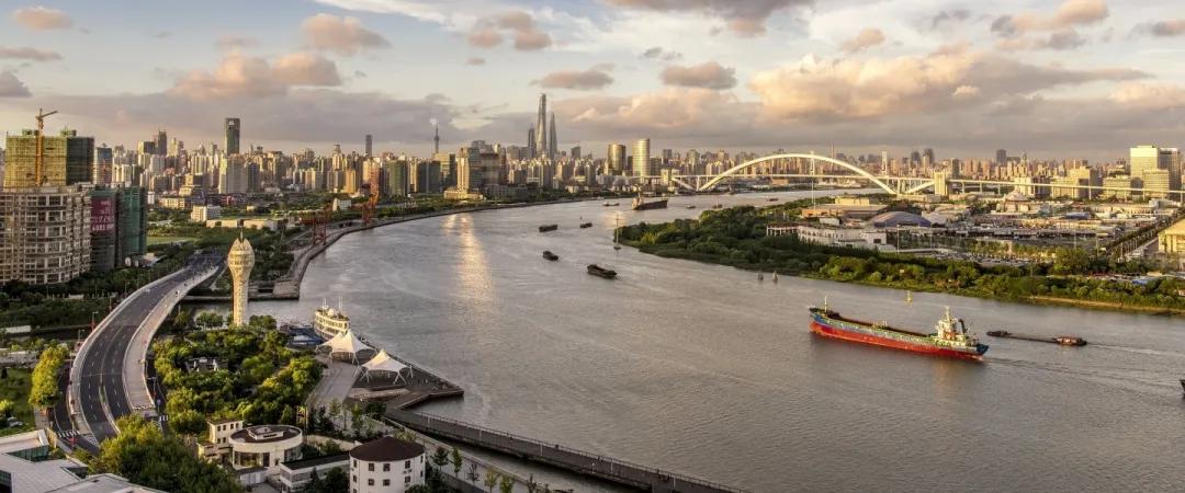 新机构入局西岸艺岛!每年拿出300万支持年轻人的基金会将启