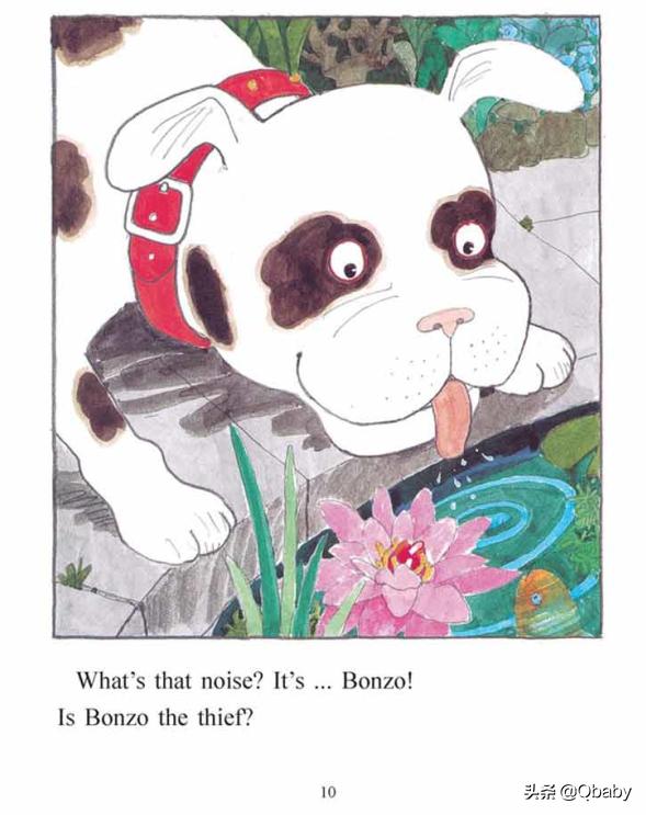 好书推荐一起玩吧绘本故事,康康绘本100本