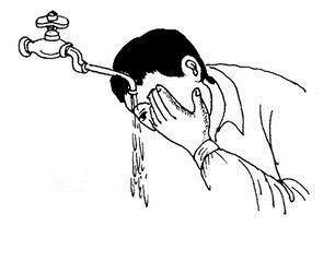 柳絮纷飞季怎么预防,柳絮纷飞这天气应该注意些啥