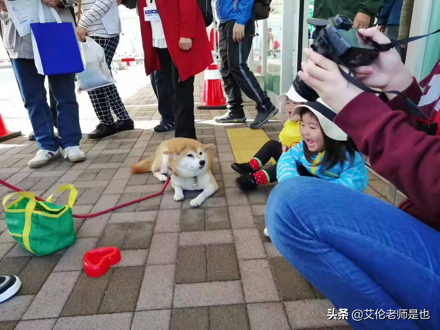 去日本边打工边留学是真的吗,在日本边留学边打工要花多少钱