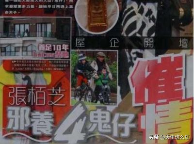 锋菲恋和锋芝恋真实情况,回顾张柏芝和谢霆锋的爱恨情仇