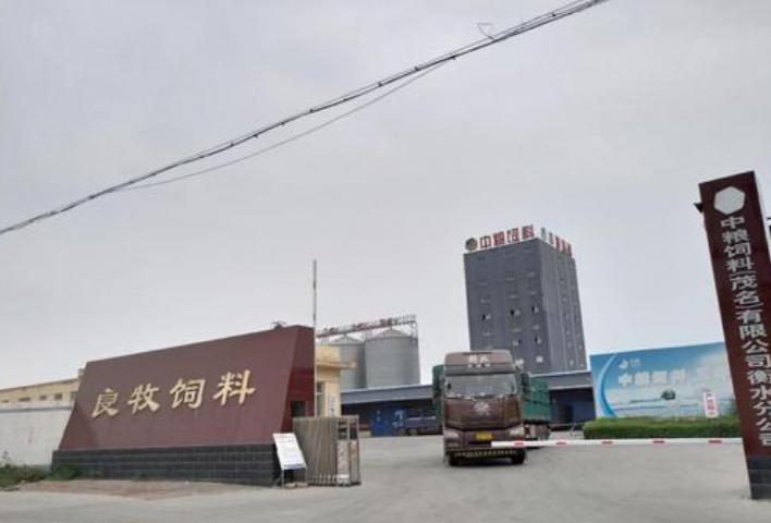 河北发展最好的乡镇,河北最强乡镇