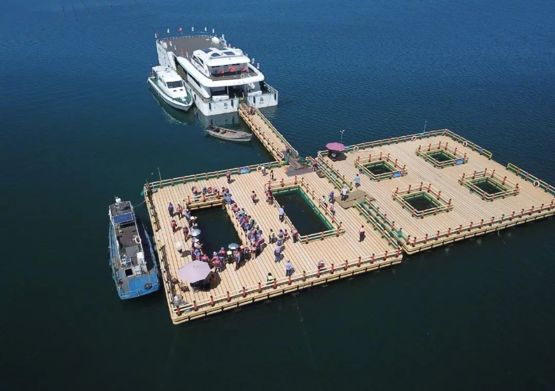 种草一个被遗忘的小岛，背山靠海，拥有山东最美的“童话屋”，美到窒息！