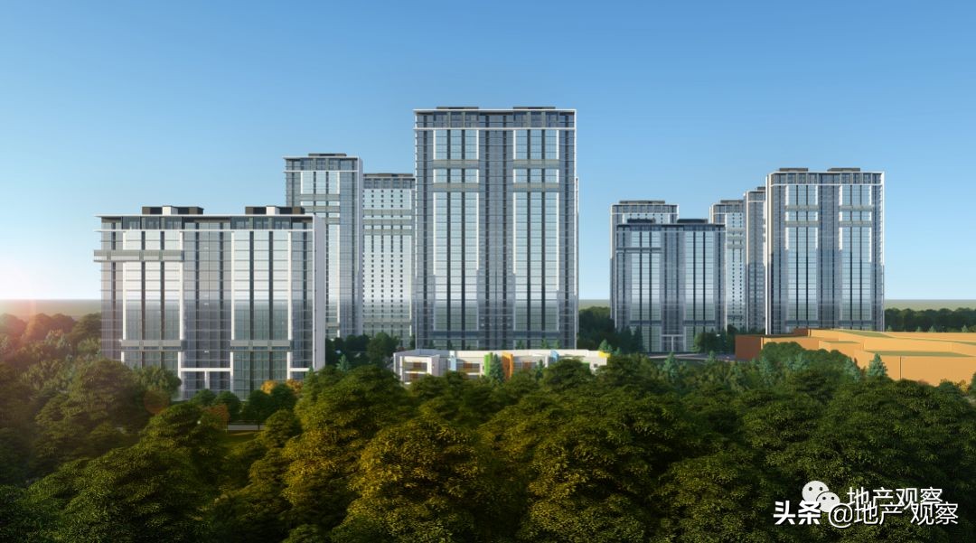 一个具备网红潜质的品质项目