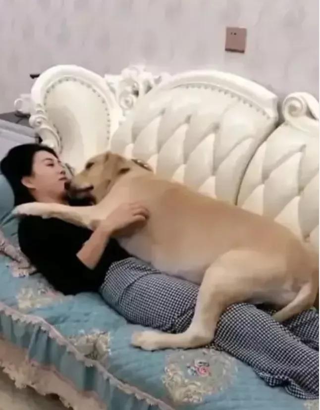 经常跟狗亲密接触能得病吗,人和狗亲密接触会传染细菌吗