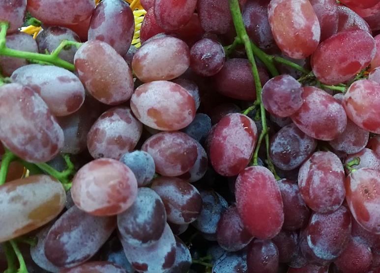 买葡萄应该尝哪个位置,买葡萄最忌讳什么