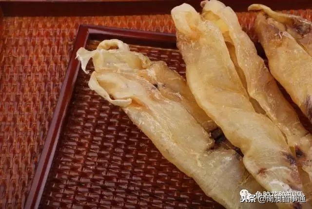 涨知识！鱼胶种类大全，不看亏大了！