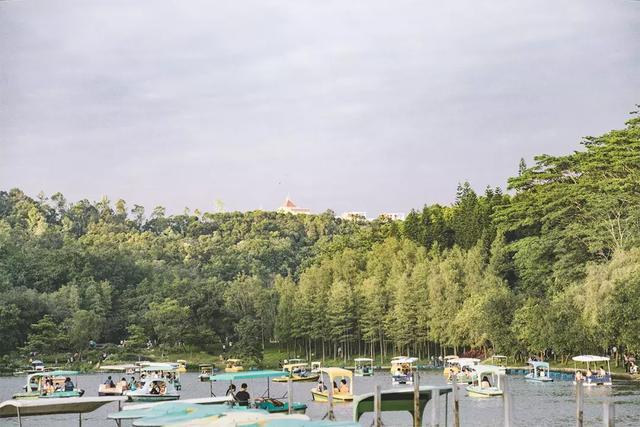 深圳游玩路线攻略必去的地方推荐,深圳4天自驾游攻略最新路线