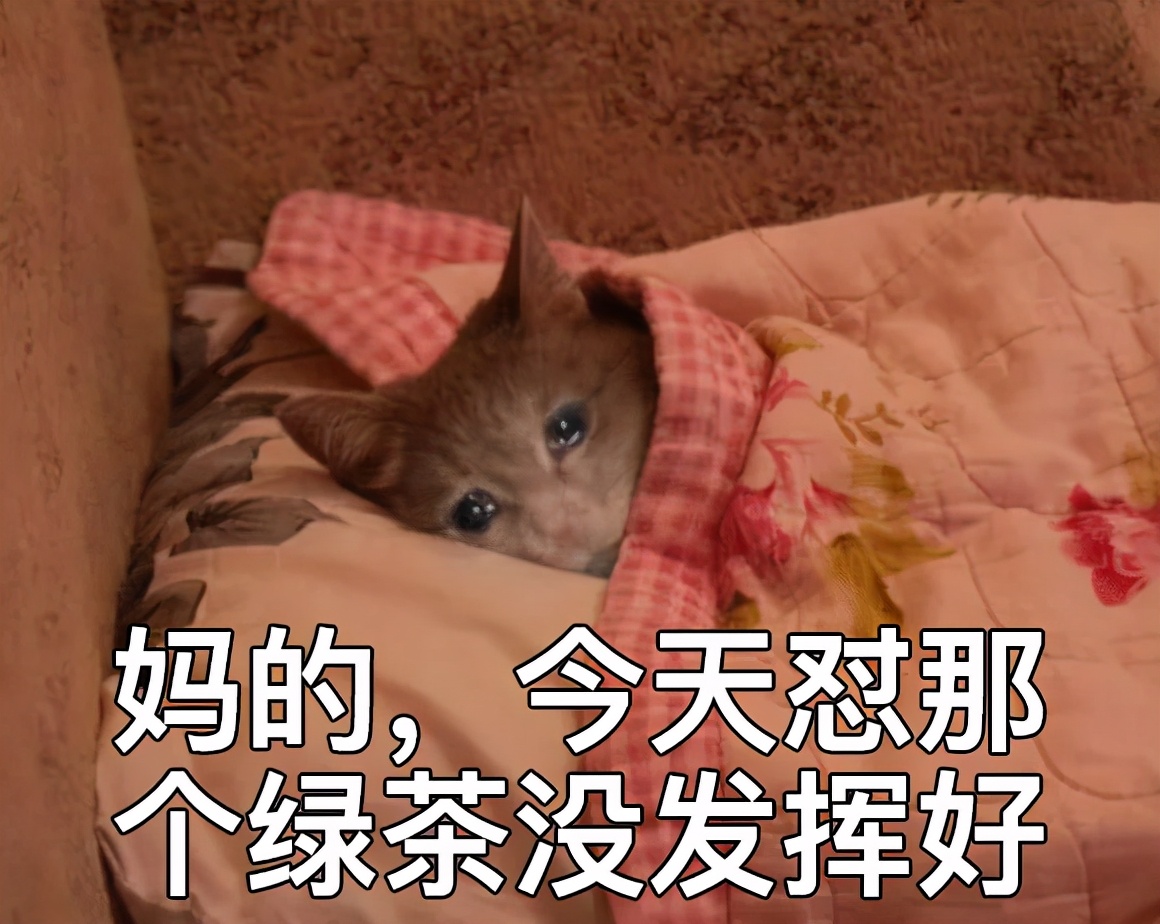 如何一句话怼男生,如何一句话怼哭别人