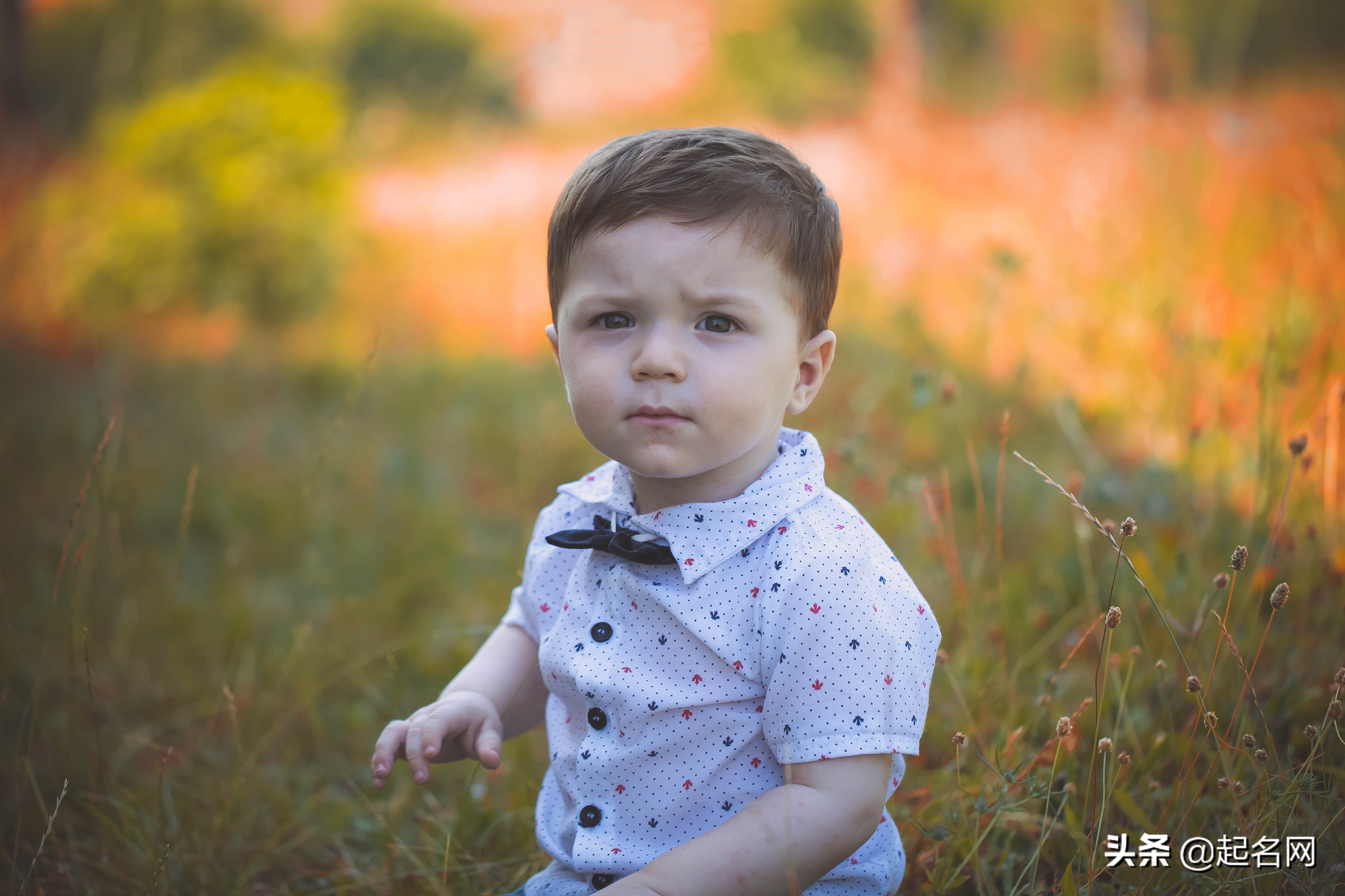 可爱宝宝的小名女生,可爱洋气的宝宝名字女孩