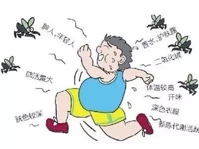 温州蚊子怎么这么多,蚊子警报
